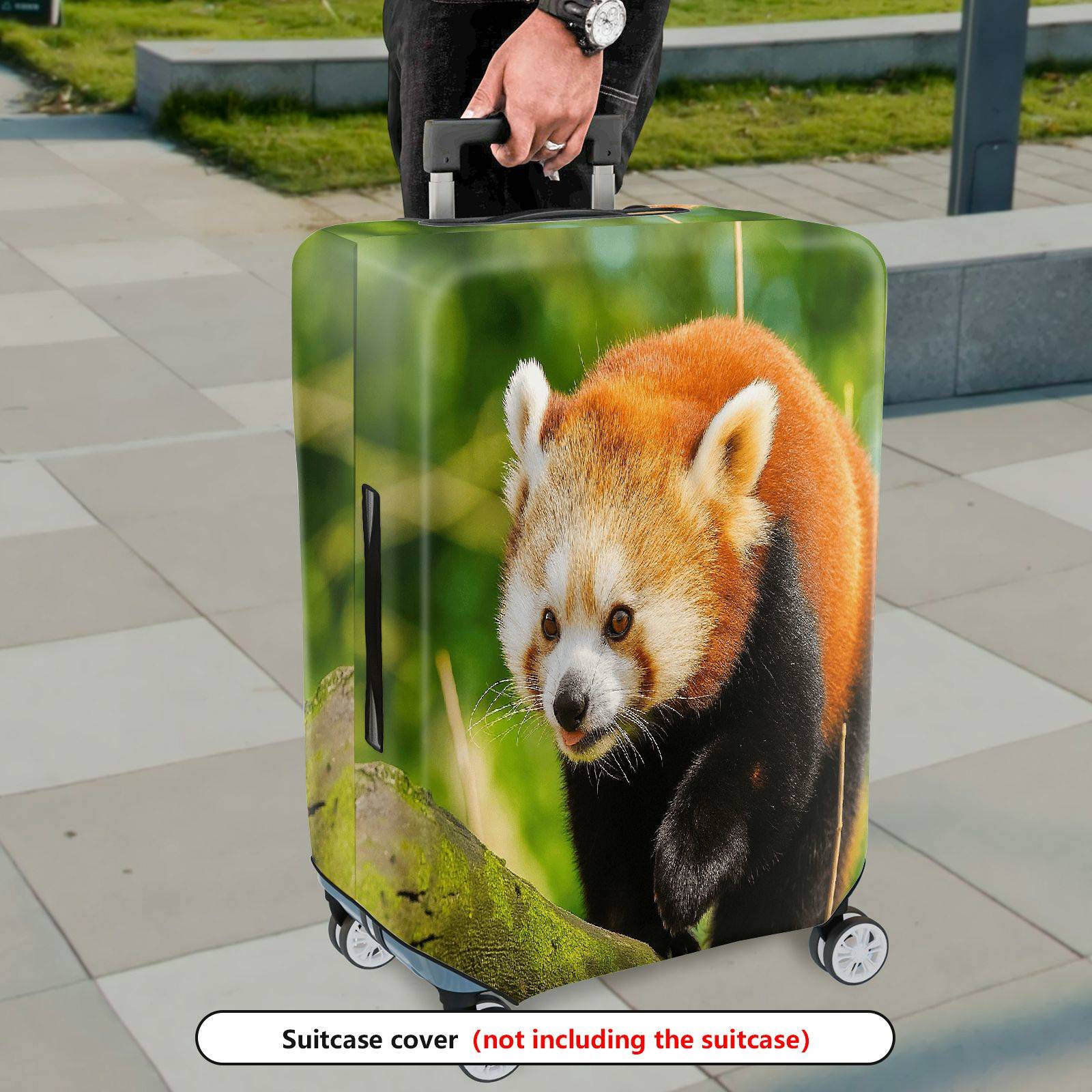 1-Piece Animal Forest Wildlife Nature Travel Red Panda  Suitcase Luggage Cover, Stretch Protective Sleeve