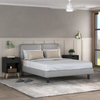 24-Inch Wood 2-Drawer Nightstand Modern Bedside or End Table with Storage