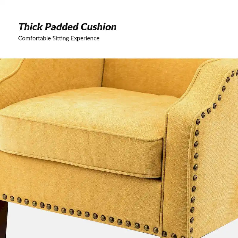 Lucretius Armchair with Nailhead Trim Set of 2 by HULALA HOME