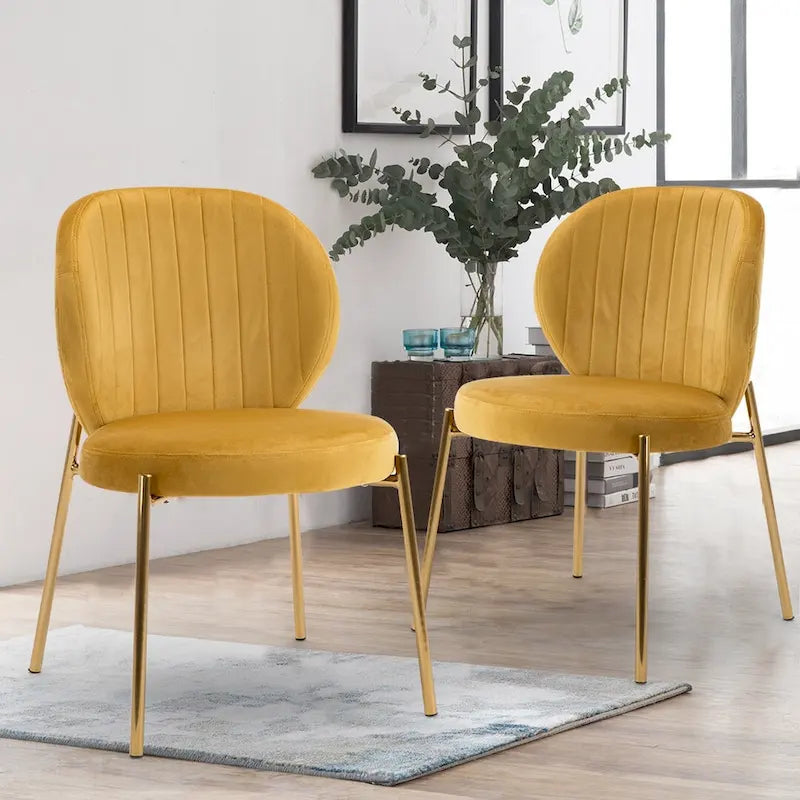 Velvet Dining Chairs Small Cute Accent Chairs with Golden Metal Legs Set of 2