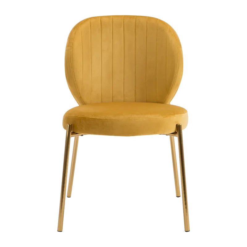 Velvet Dining Chairs Small Cute Accent Chairs with Golden Metal Legs Set of 2