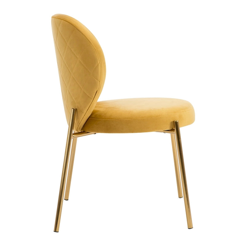 Velvet Dining Chairs Small Cute Accent Chairs with Golden Metal Legs Set of 2