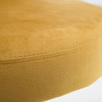 Velvet Dining Chairs Small Cute Accent Chairs with Golden Metal Legs Set of 2