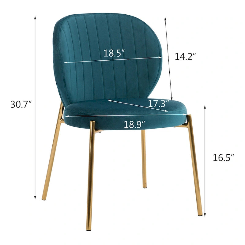 Velvet Dining Chairs Small Cute Accent Chairs with Golden Metal Legs Set of 2