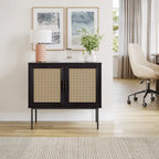 2-Door Rattan Sideboard Storage Cabinet