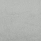 vidaXL Day Bed Upholstered Daybed Sofa Bed for Bedroom Living Room Velvet