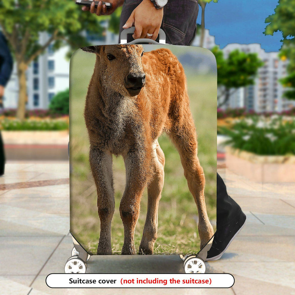 1-Piece Animal Nature Wildlife Calf Grassland Peaceful  Suitcase Luggage Cover, Stretch Protective Sleeve