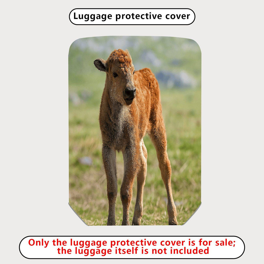 1-Piece Animal Nature Wildlife Calf Grassland Peaceful  Suitcase Luggage Cover, Stretch Protective Sleeve