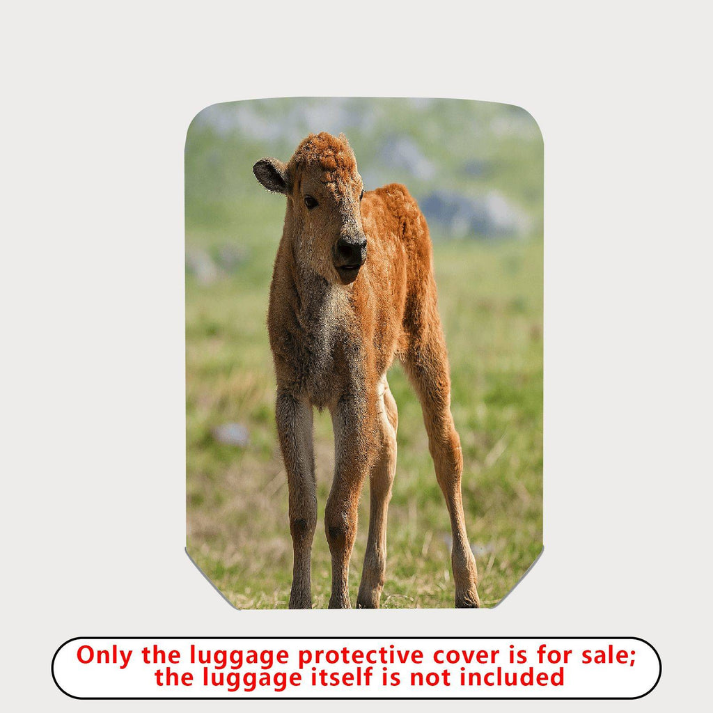 1-Piece Animal Nature Wildlife Calf Grassland Peaceful  Suitcase Luggage Cover, Stretch Protective Sleeve