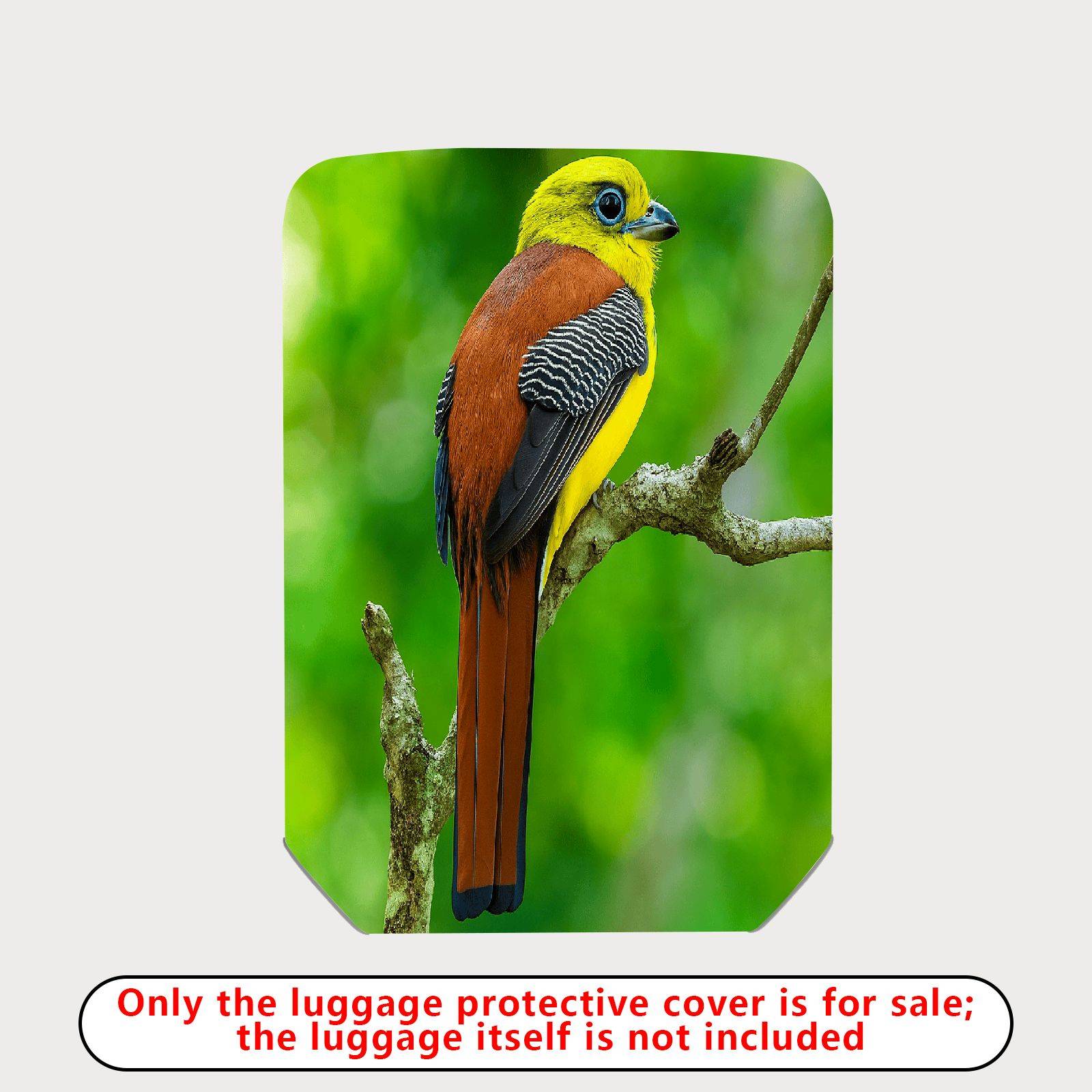 1-Piece Bird Nature Colorful Vibrant Artistic  Suitcase Luggage Cover, Stretch Protective Sleeve